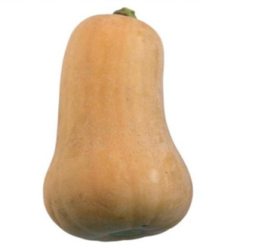Butternut