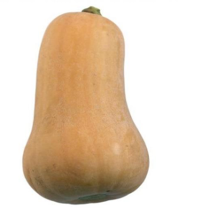 Butternut
