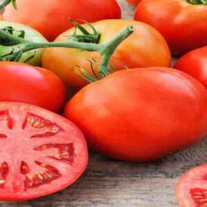 Niski beef presadnica