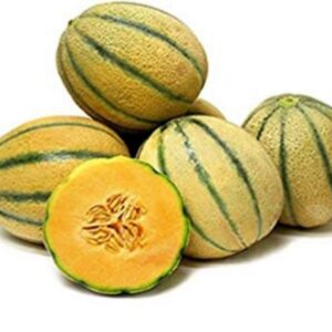 dinje za online prodaju