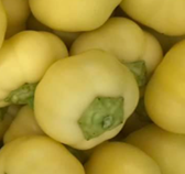 Paprika paradajzerica kg